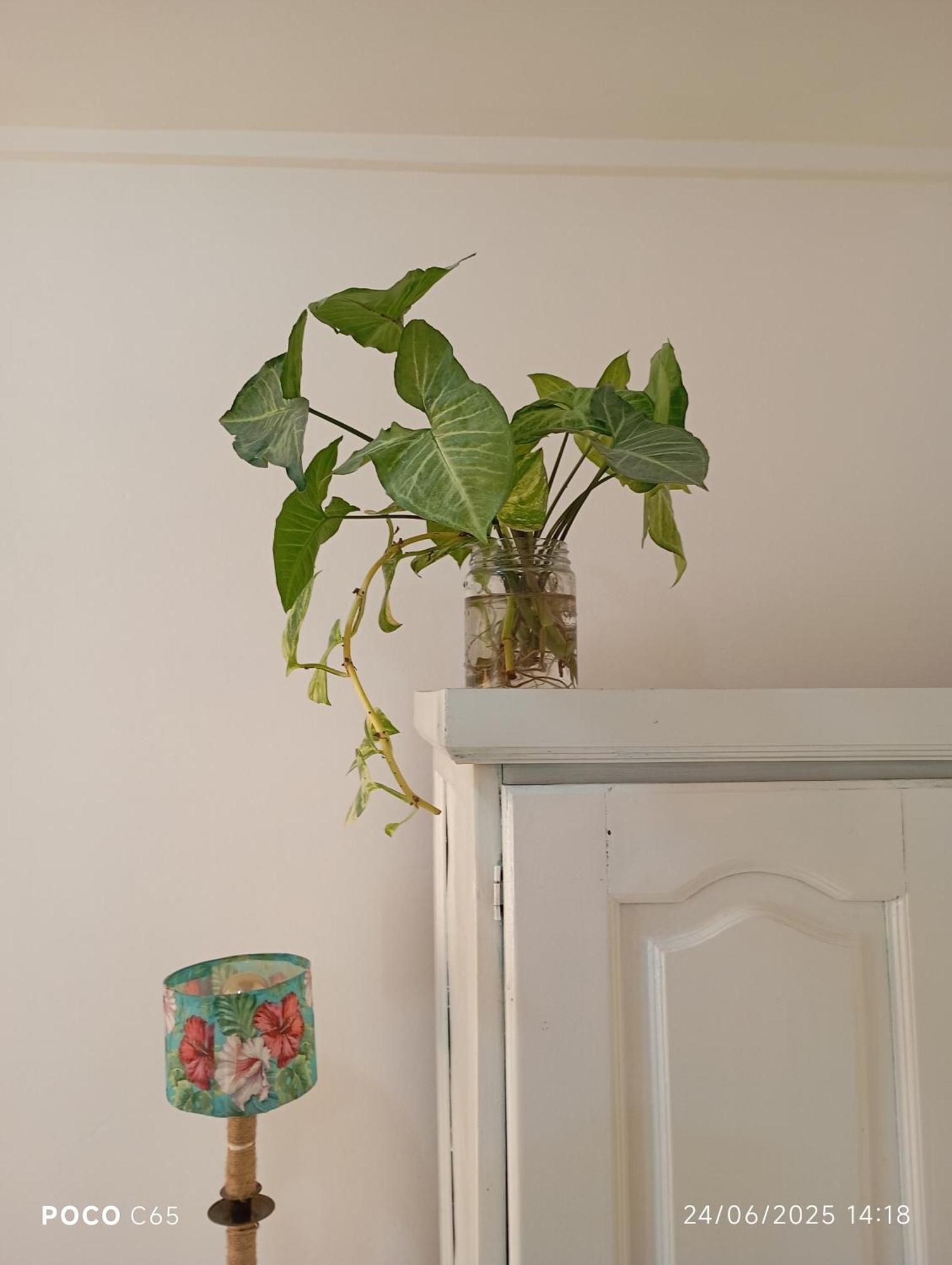El Rincon De Boedo Appartement